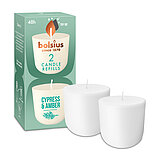 Zwei Cleanlight Duftkerzen-Nachfüller mit Zypresse/Amber-Duft stehen neben der dazugehörigen grünen Verpackung mit Bolsius Schriftzug.