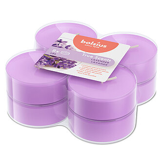 Artikelvorschau True Scents Maxi-Lichte Clear Cup - Lavender (8er Pack)
