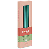 Spitzkerzen Special Essentials Ultra Gloss in der Farbe Pinien-Grün mit der Größe 245/24 mm