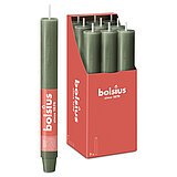 Eine durchgefärbte XL Rustik Haushaltskerze mit konischem Fuß in der Farbe Frische Olive. Im Hintergrund ist ein 9er Pack der Stabkerzen in einer Schachtel von Bolsius zu sehen.