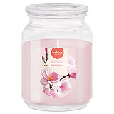 Bolsius Blooming Magnolia Duftkerze im Glas in Einzelansicht