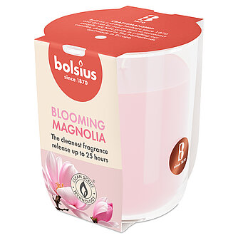 Bolsius True Scents Duftglas klein 80/73mm (1 Stück) - Magnolie Artikelvorschau True Scents Duftglas klein 80/73mm (1 Stück) - Magnolie