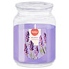 Bolsius Relaxing Lavender Duftkerze im Glas in Einzelansicht