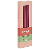 Spitzkerzen Special Essentials Ultra Gloss in der Farbe Samtrot mit der Größe 245/24 mm