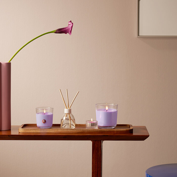 Ein Arrangement aus Duftkerzen im Glas und einem Raumduft-Diffuser neben einer Vase mit Blume. Die Gläser haben violettes Wachs und duften nach Lavendel.