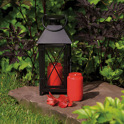 Auf einem Grabstein inmitten grüner Pflanzen stehen zwei leuchtend rote Grabkerzen ohne Deckel – eine direkt auf dem Stein, die andere geschützt in einer schlichten schwarzen Laterne. Die Szene wirkt ruhig und gepflegt, das satte Grün der Umgebung bildet einen stimmungsvollen Kontrast zur intensiven Farbe der Kerzen. Eine dezente, aber ausdrucksstarke Möglichkeit, still zu gedenken.