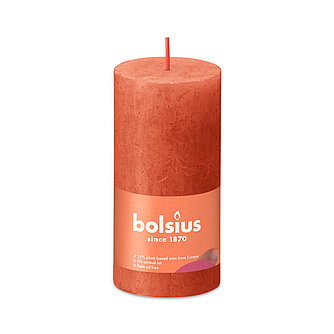 Bolsius Rustik Stumpenkerzen 100/50 mm - Herbstliches Orange (1 Stück) Artikelvorschau Rustik Stumpenkerzen 100/50 mm - Herbstliches Orange (1 Stück)