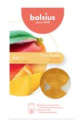 True Scents Wax Melts - Mango (6er Pack)